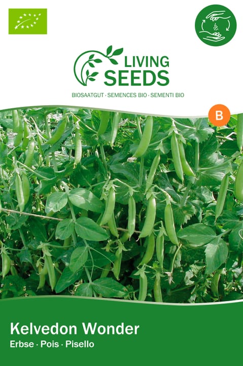 Image of Living Seeds Erbse, Kelvedon Wonder Gourmetsamen
