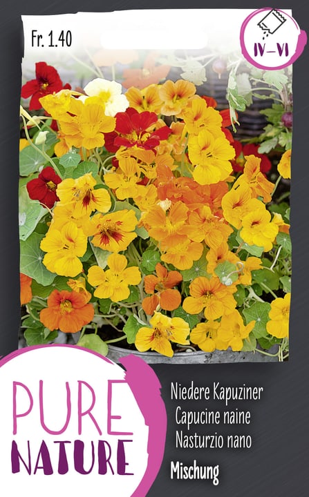 Image of Kapuzinerli Mischung nieder 5g Blumensamen bei Do it + Garden von Migros