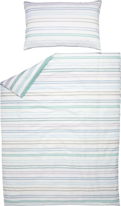 LEA Taie d'oreiller en satin LEA Taie d'oreiller en satin 451292110641 Couleur Menthe Dimensions L: 65.0 cm x H: 65.0 cm Photo no. 1