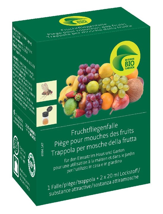 Image of Migros-Bio Garden Fruchtfliegenfalle Insektenfalle bei Do it + Garden von Migros