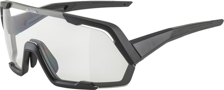 Image of Alpina Rocket Sportbrille schwarz