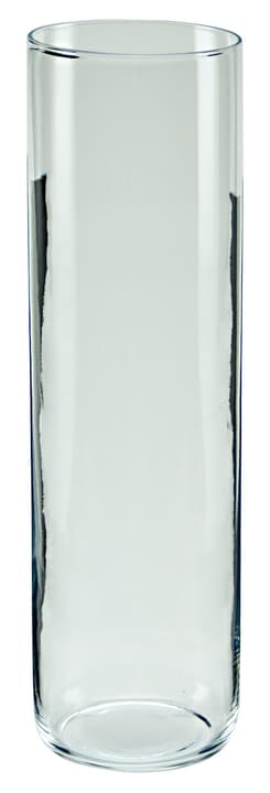 Hakbjl Glass Casper Vase