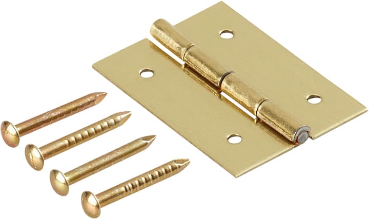 Image of Scharnier mit Stift vermessingt 20 x 15 mm Scharniere bei Do it + Garden von Migros