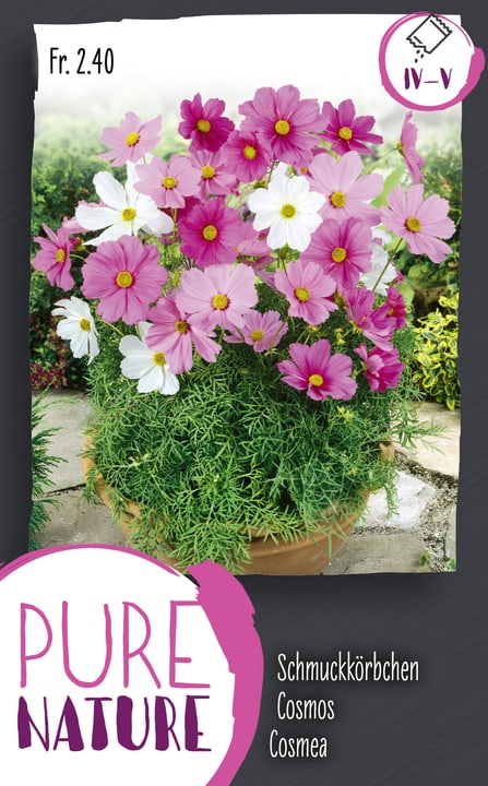 Image of Schmuckkörbchen, Mischung 1g Blumensamen bei Do it + Garden von Migros