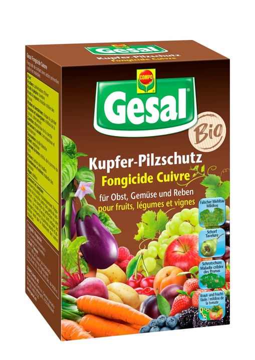 Image of Compo Gesal Kupfer-Pilzschutz, 70 ml Pilzkrankheiten bei Do it + Garden von Migros