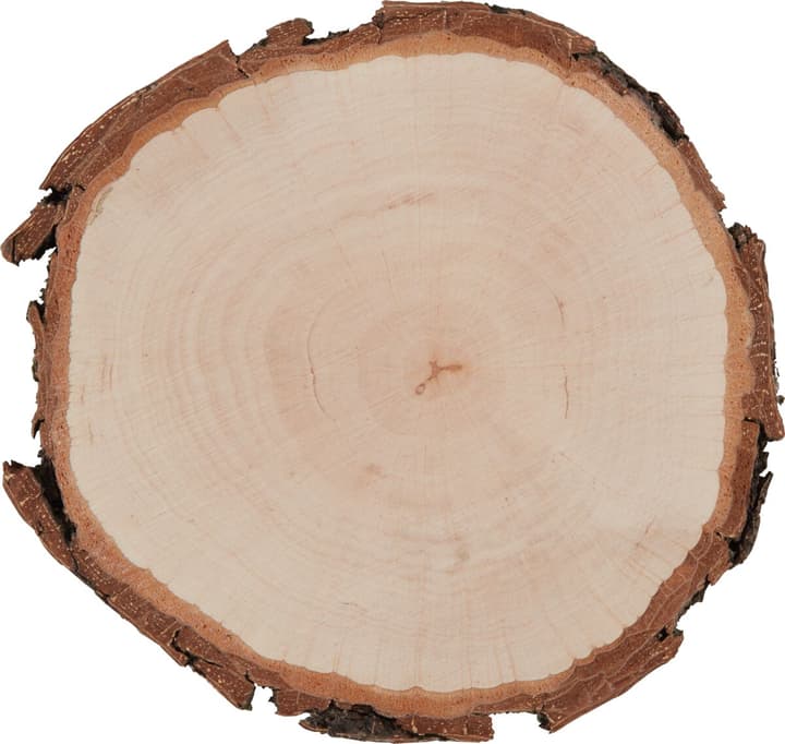 Image of Legna Creativa Rohholz Rondelle bei Do it + Garden von Migros