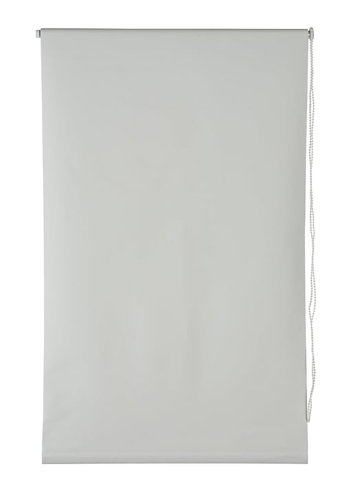BLACKOUT Rollo BLACKOUT Rollo 430731704010 Farbe Weiss Grösse B: 40.0 cm x H: 130.0 cm Bild Nr. 1