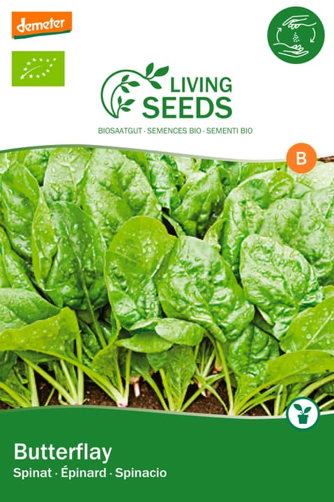 Image of Living Seeds Spinat, Butterflay Gemüsesamen