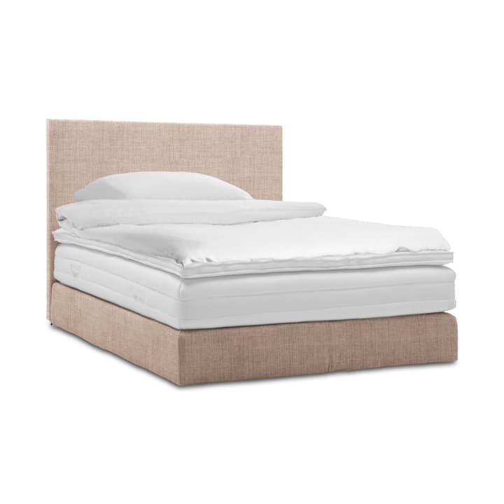 GRACE Boxspringbett GRACE Boxspringbett 364286800000 Grösse B: 200.0 cm x T: 160.0 cm Farbe Beige Bild Nr. 1