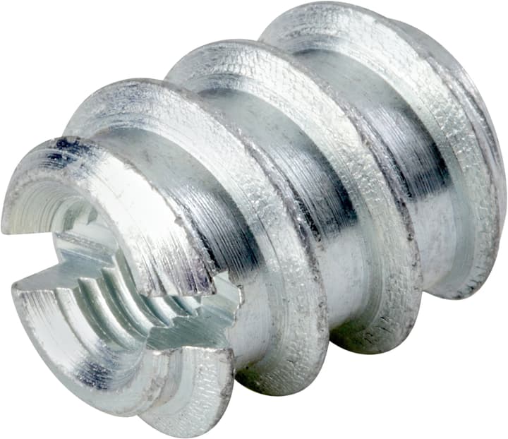 Image of Einschraubmuttern verzinkt M 6 x 12 15 mm Schraub- und Schlagmuttern bei Do it + Garden von Migros