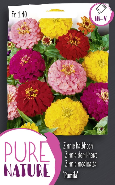 Image of Zinnie 'Pumila' Mischung 1g Blumensamen bei Do it + Garden von Migros
