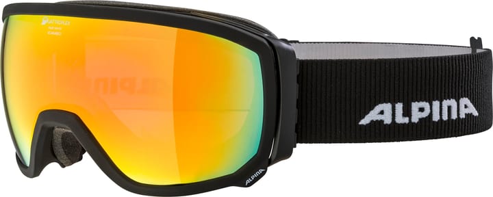 Image of Alpina Scarabeo Q Skibrille / Snowboardbrille kohle