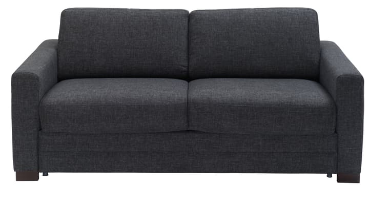 KERN Canapé-lit KERN Canapé-lit 402925500184 Dimensions L: 188.0 cm x P: 96.0 cm x H: 82.0 cm Couleur Anthracite Photo no. 1