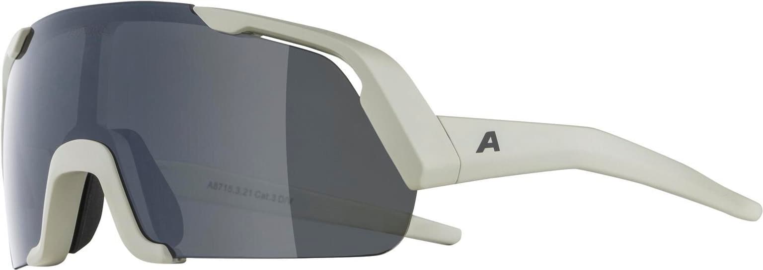 Alpina Alpina ROCKET YOUTH Sportbrille gris-claire 2