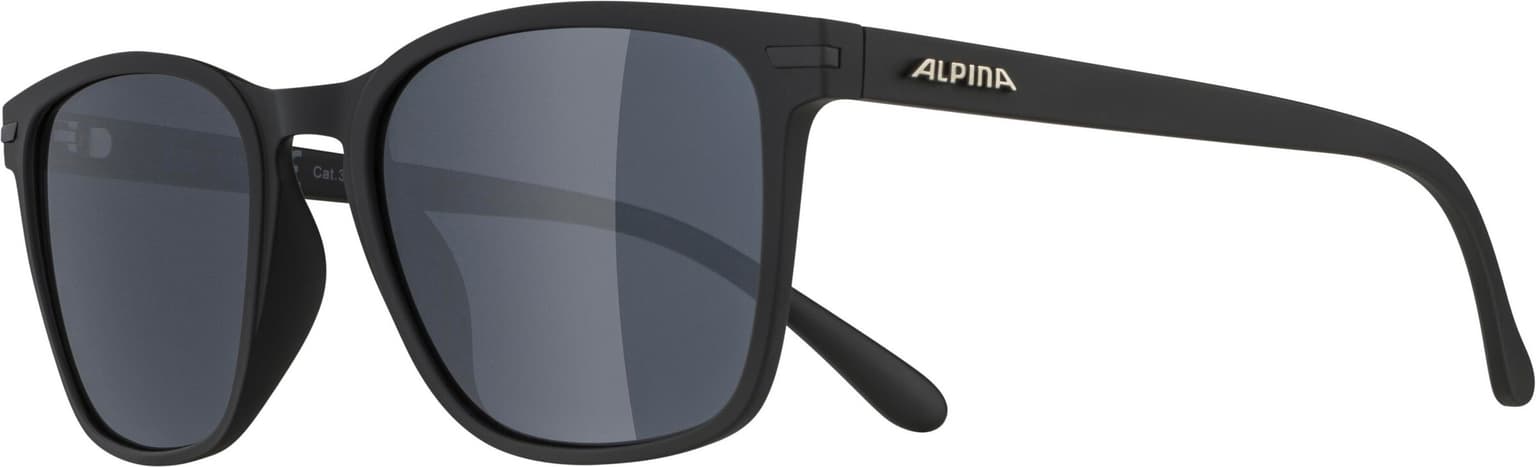 Alpina Alpina Yefe Lunettes de sport noir 2