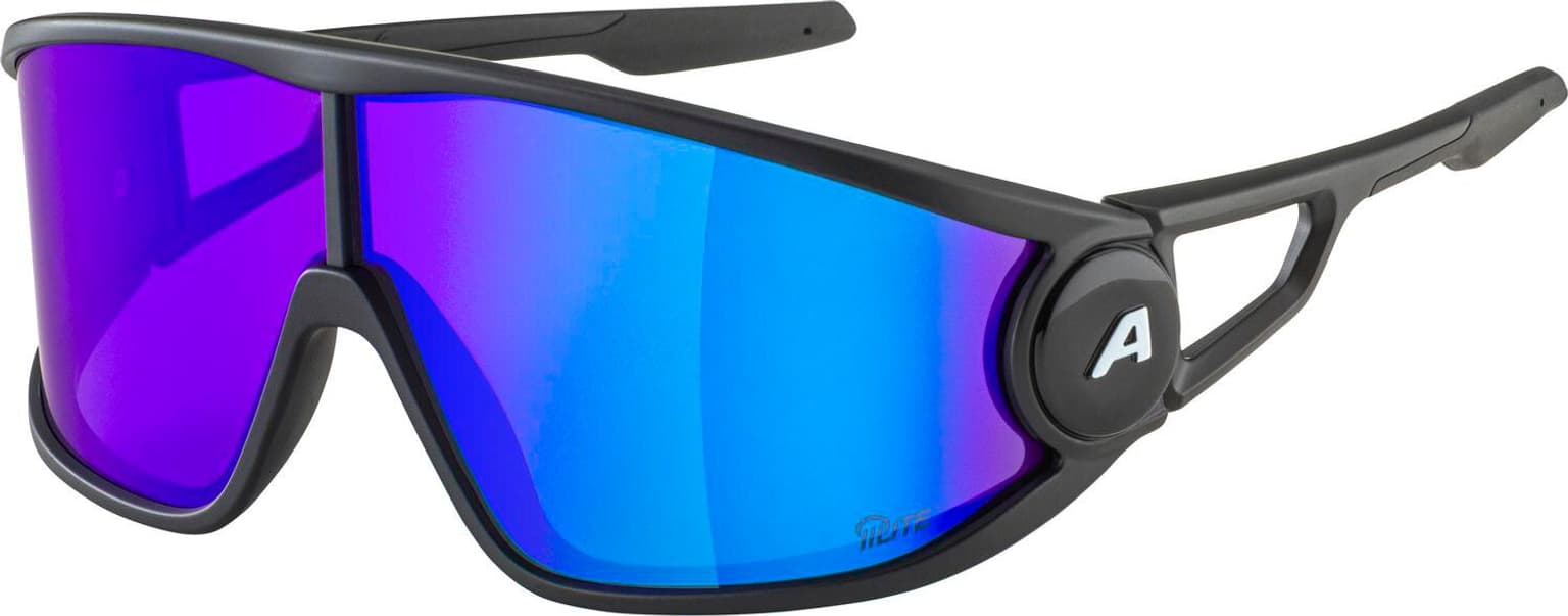 Alpina Alpina LEGEND Q-LITE Sportbrille noir 1