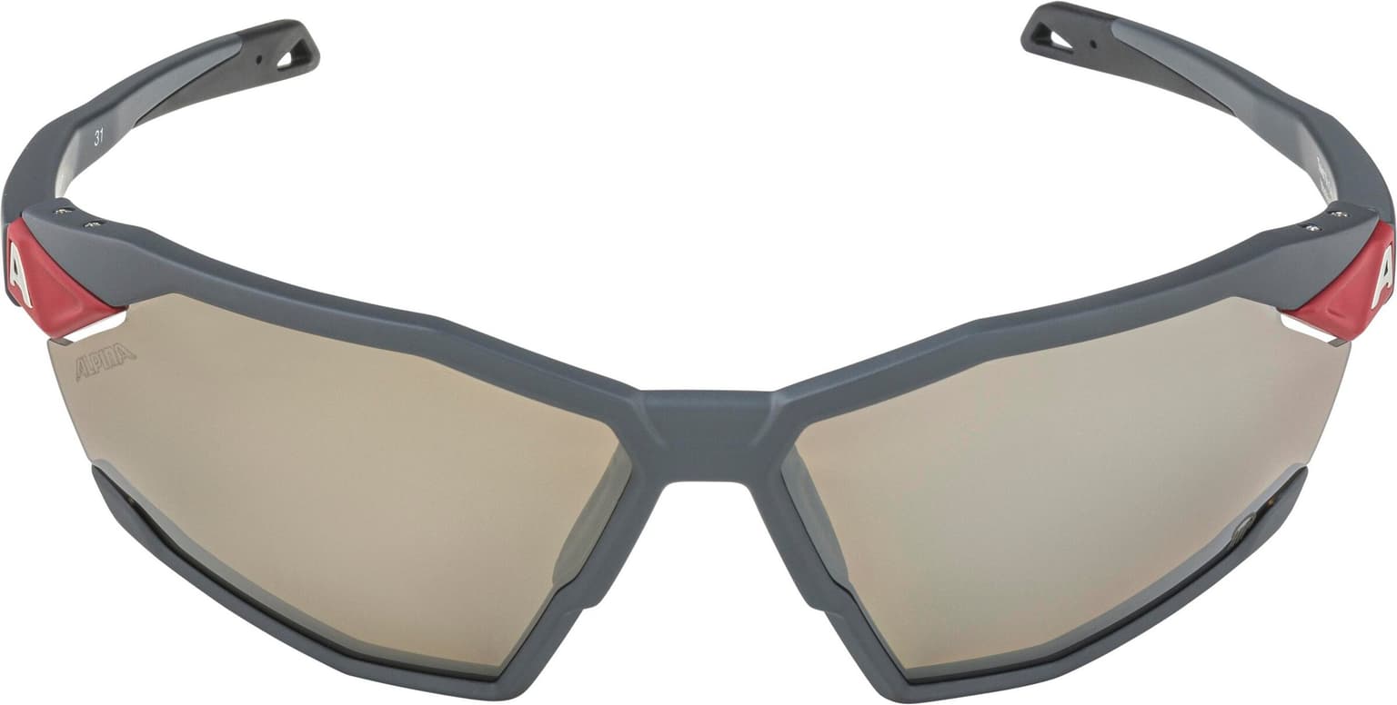 Alpina Alpina TWIST SIX Q Sportbrille grigio 3