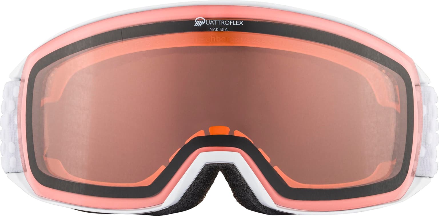 Alpina NAKISKA QH Masque de ski blanc 2