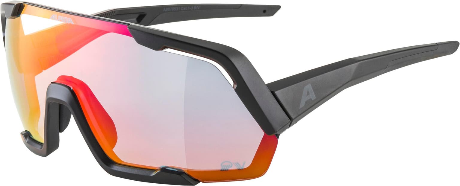 Alpina ROCKET QV Sportbrille schwarz 1