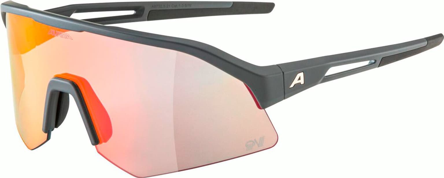 Alpina SONIC HR QV Sportbrille grau 1