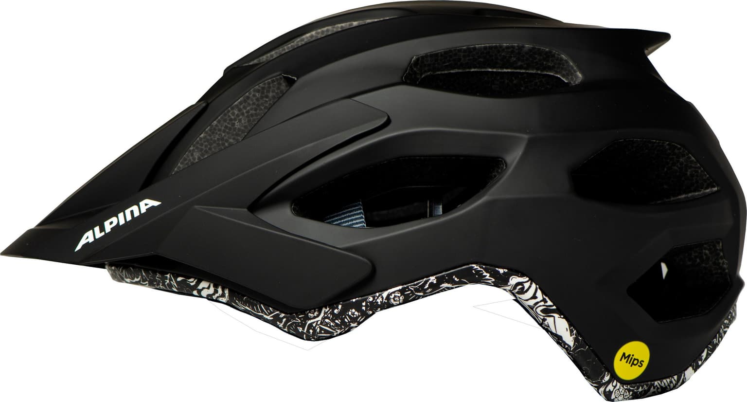 Alpina Apax Mips Velohelm kohle 2