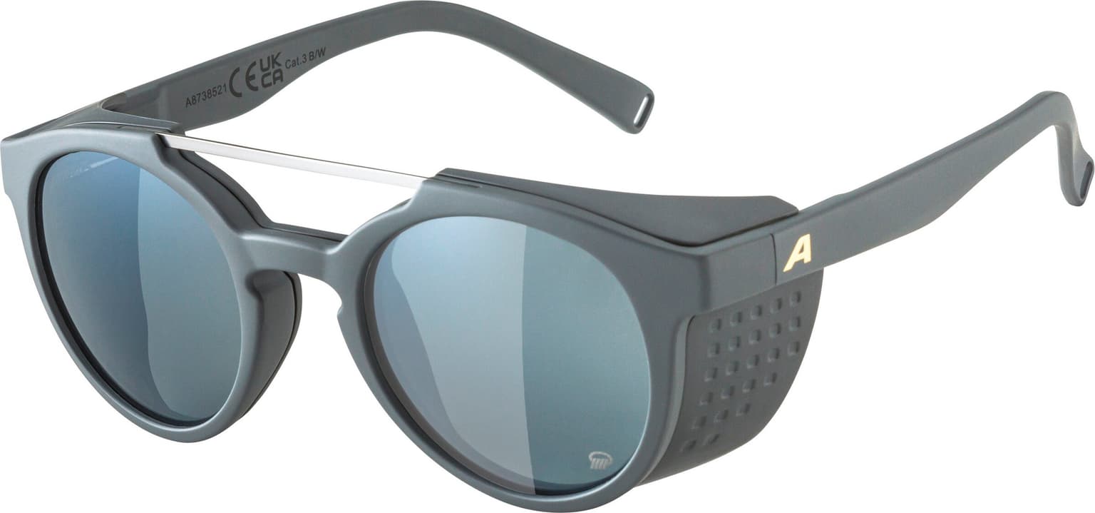 Alpina Alpina GLACE P Sportbrille grau 2