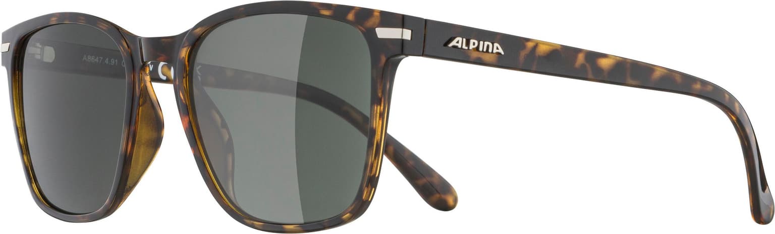Alpina Alpina Yefe Sportbrille dunkelbraun 2