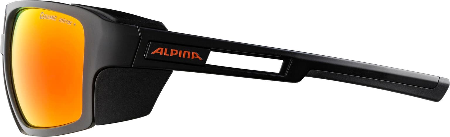 Alpina Alpina SKYWALSH Sportbrille charbon 4