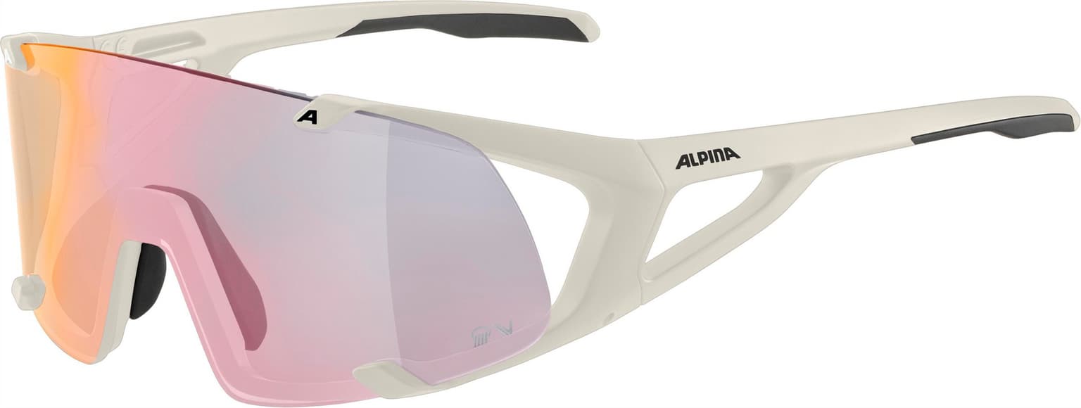 Alpina Alpina Hawkeye S QV Sportbrille gris 1