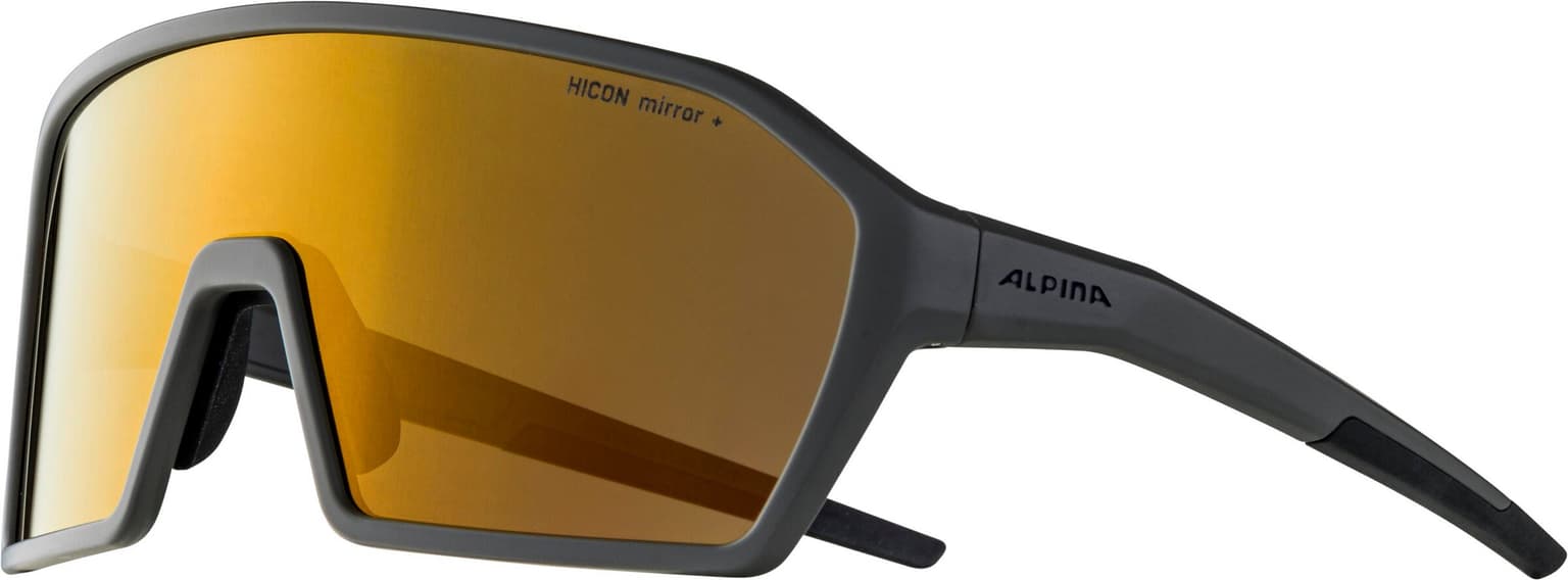 Alpina Alpina Ram Q-Lite Sportbrille grau 2