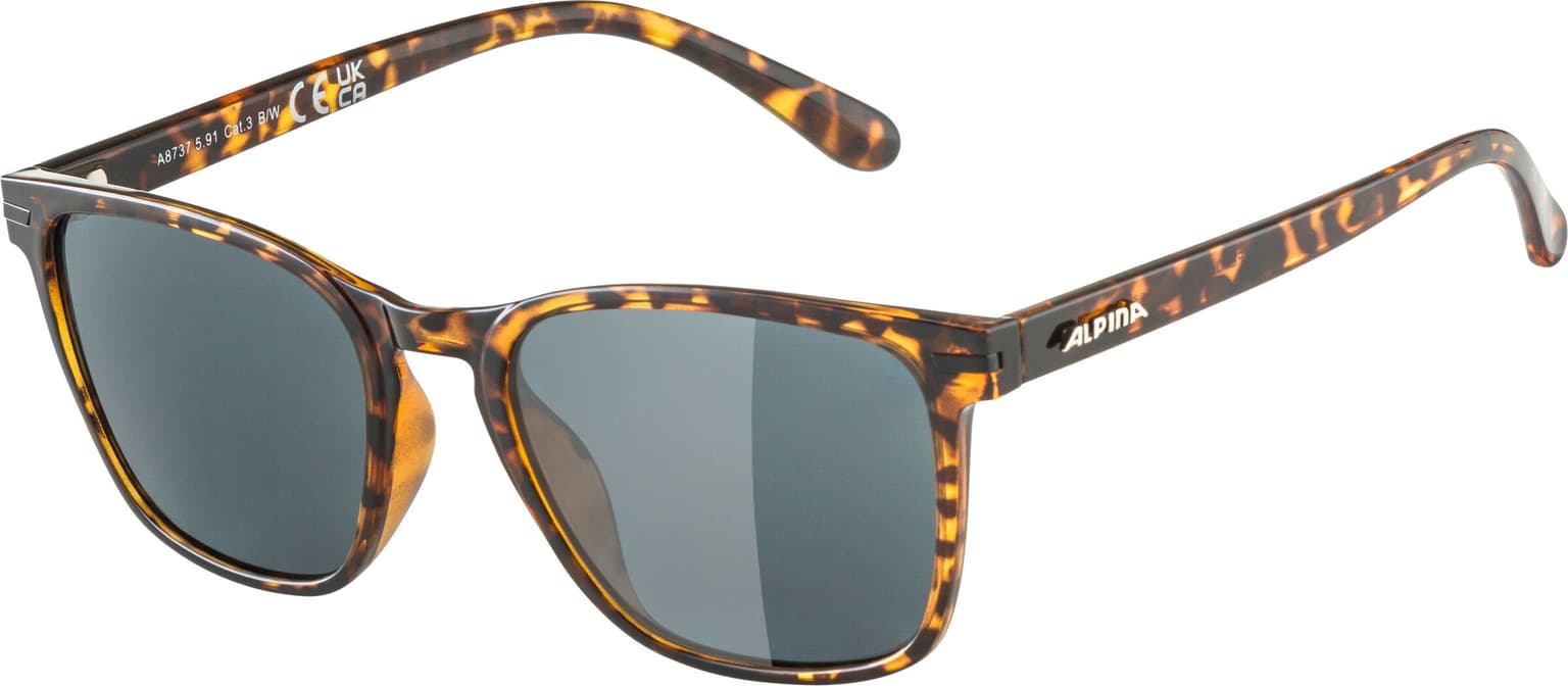 Alpina Alpina YEFE P Sportbrille brun-fonce 1