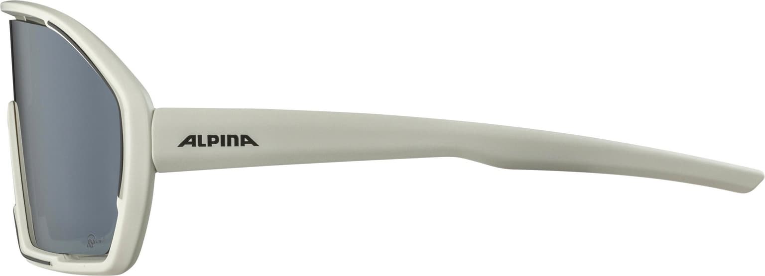 Alpina Alpina Bonfire Q-Lite Sportbrille grau 4
