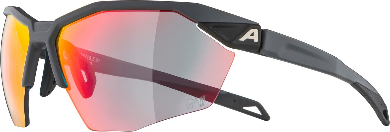Alpina Alpina TWIST SIX HR QV Sportbrille anthrazit 2