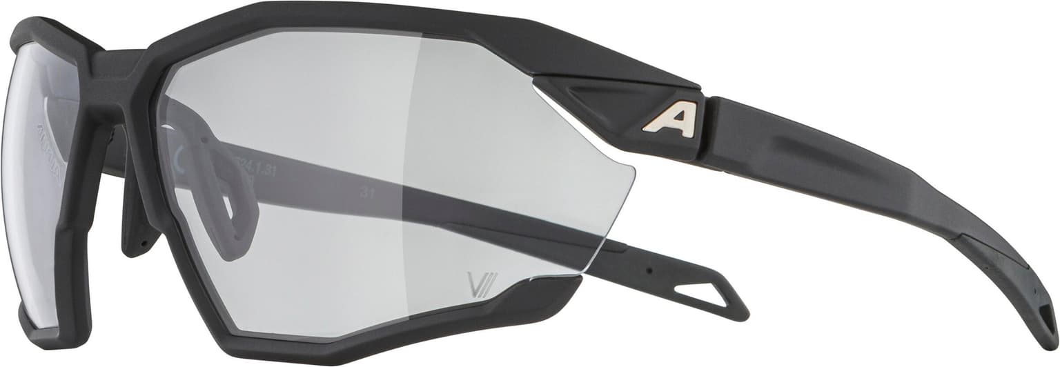 Alpina Alpina TWIST SIX V Sportbrille schwarz 2