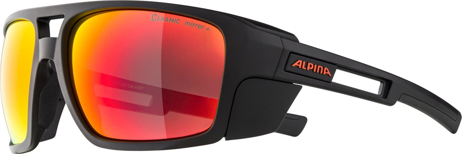 Alpina Alpina SKYWALSH Sportbrille kohle 2