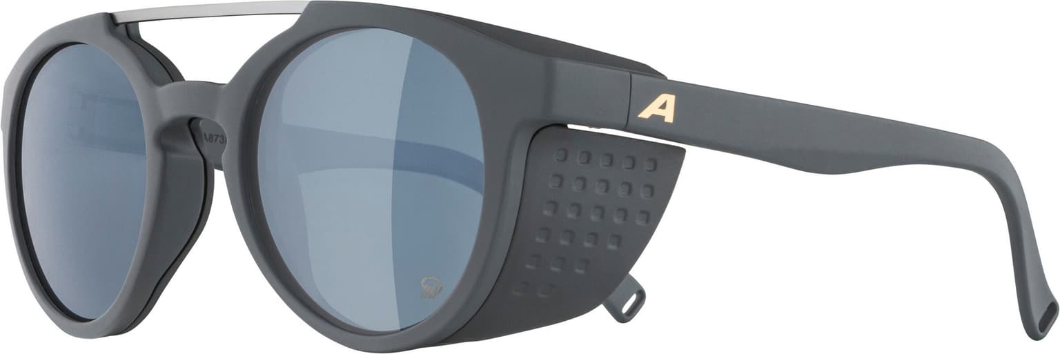 Alpina Alpina GLACE P Sportbrille grau 3