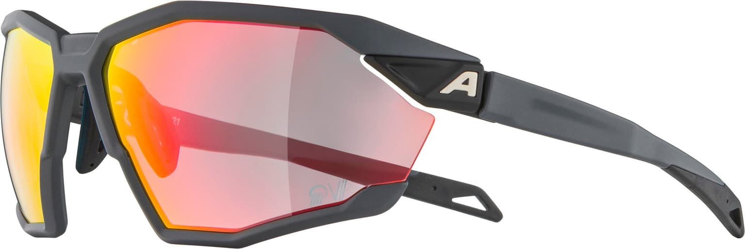 Alpina Alpina TWIST SIX QV Sportbrille gris-fonce 2