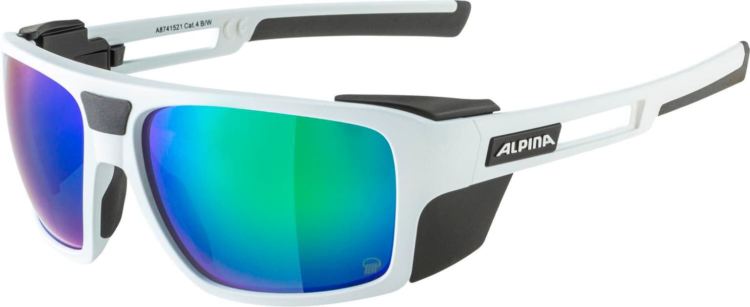 Alpina Alpina SKYWALSH Q P Sportbrille grau 1