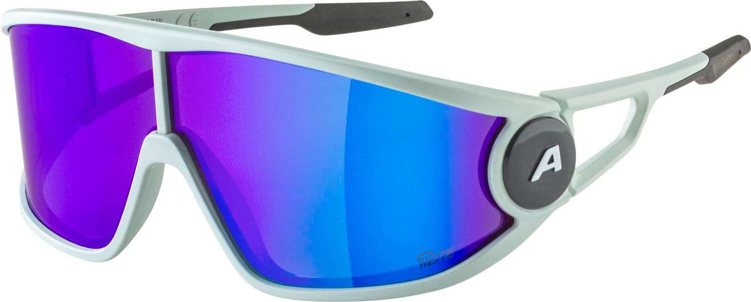 Alpina Alpina LEGEND Q-LITE Sportbrille kitt 1