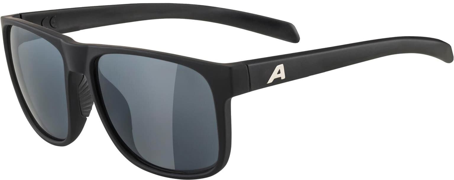 Alpina Alpina NACAN III Sportbrille schwarz 1