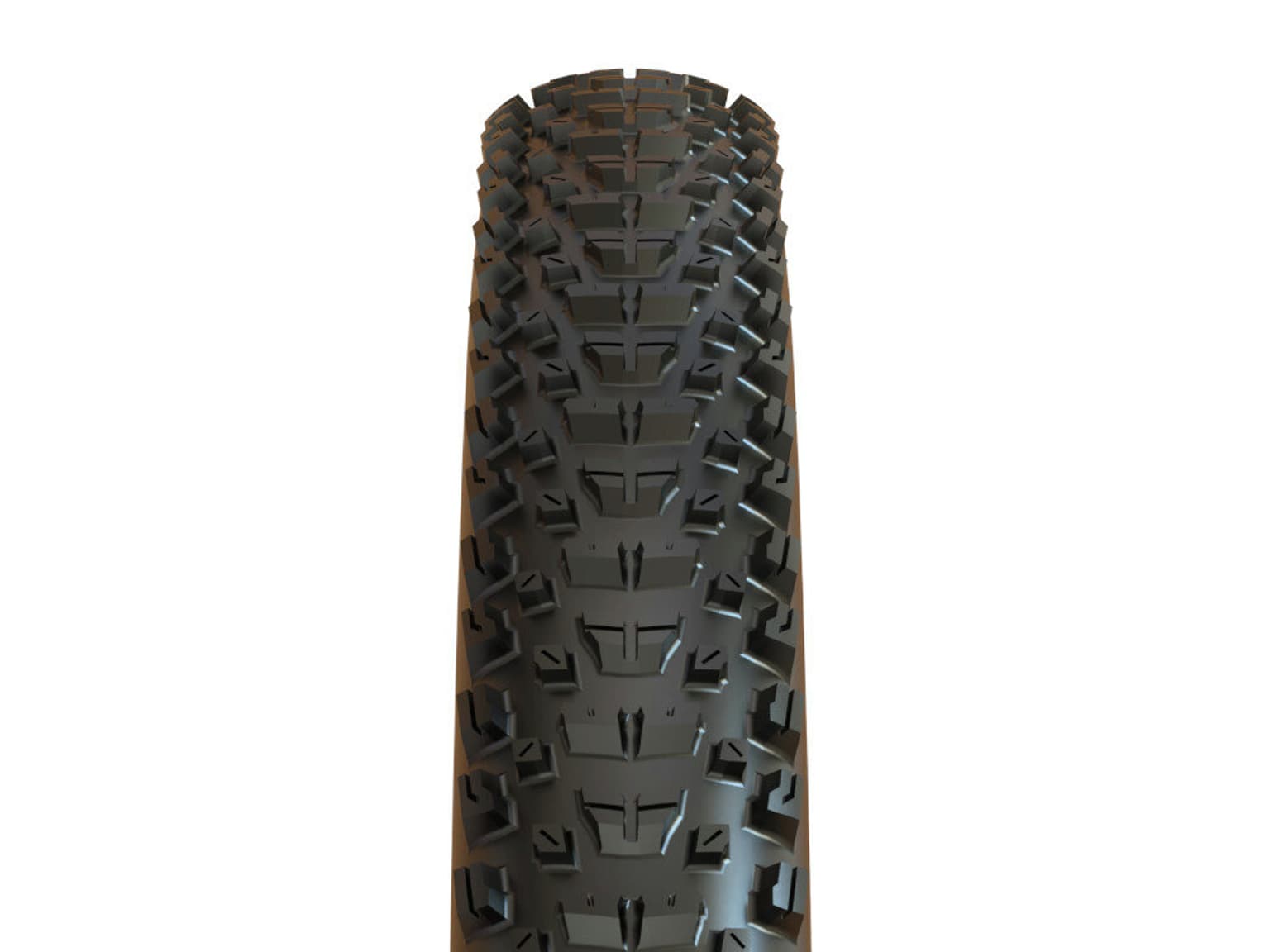 Maxxis Rekon WT TR EXO 60TPI 3C Terra 29x2.4 Veloreifen 2