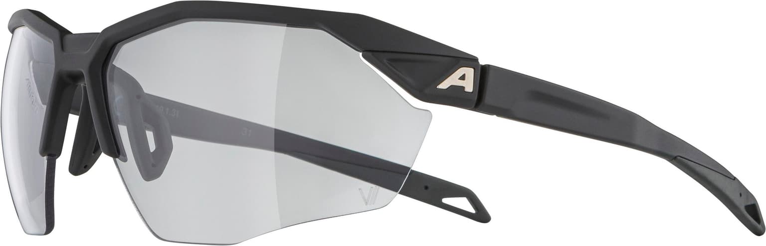 Alpina Alpina TWIST SIX HR V Sportbrille schwarz 2