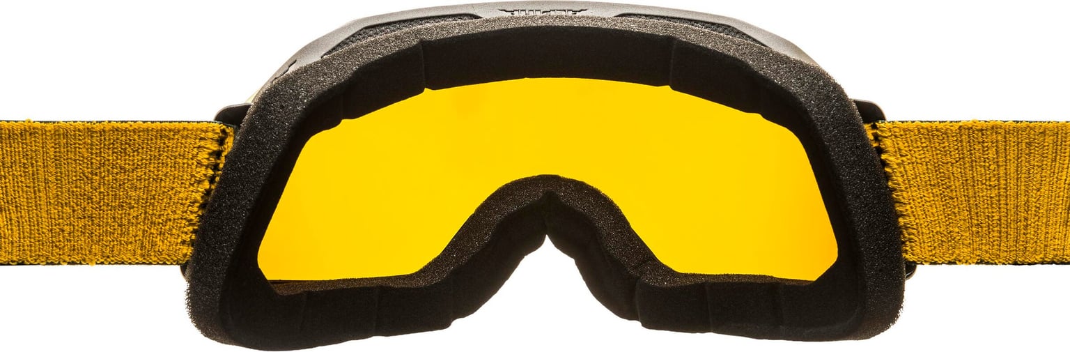 Alpina Alpina Blackcomb Q-Lite Occiali da sci nero 3