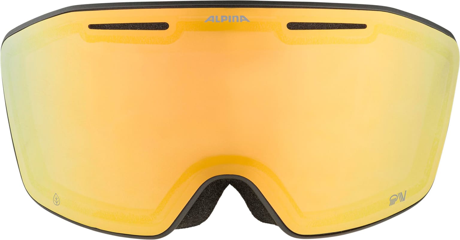 Alpina Alpina NENDAZ QV Masque de ski noir 2
