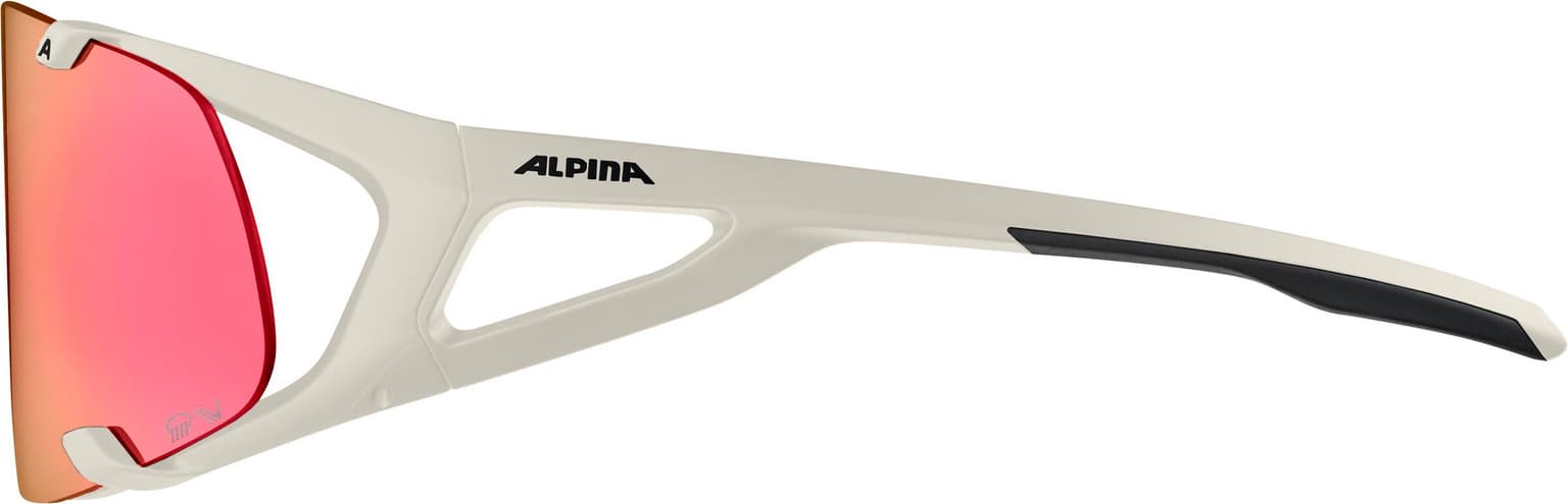 Alpina Alpina Hawkeye S QV Sportbrille gris 4