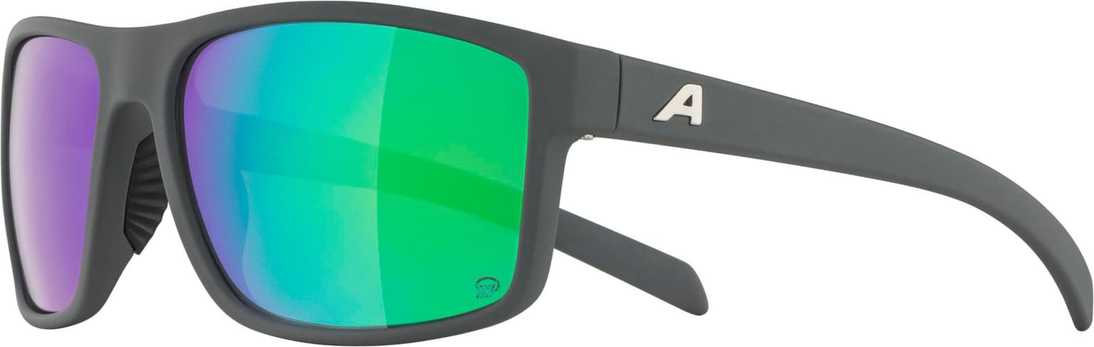 Alpina Alpina NACAN I P Sportbrille gris-claire 3