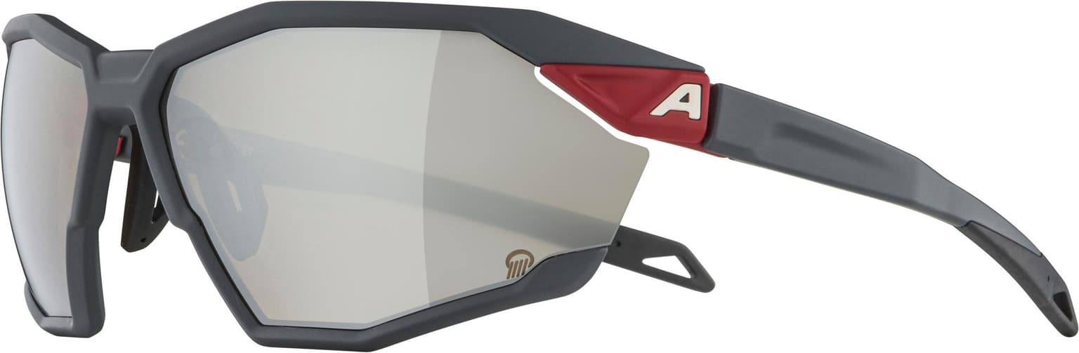 Alpina Alpina TWIST SIX Q Sportbrille grau 2