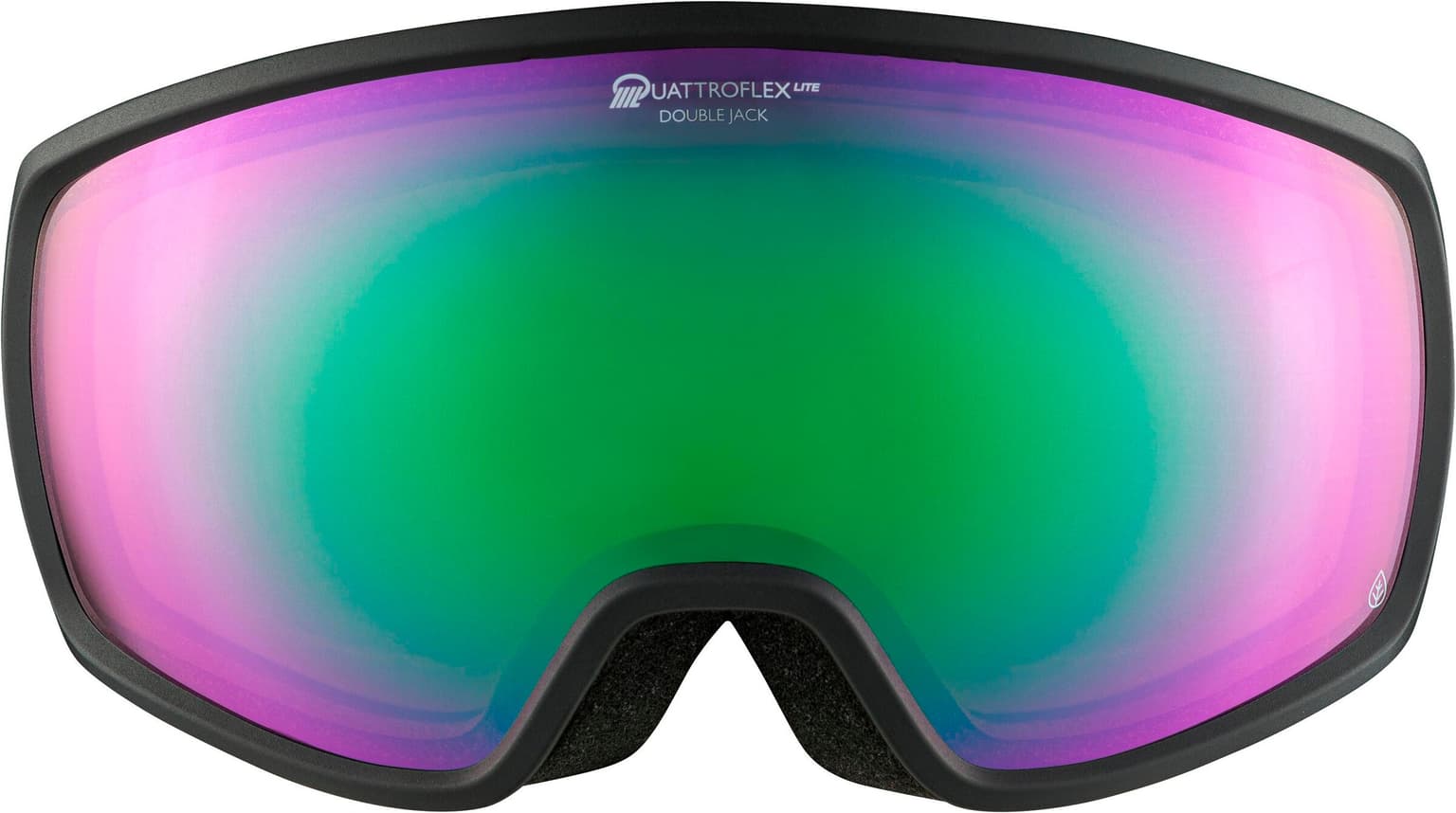 Alpina Alpina Double Jack Planet Skibrille / Snowboardbrille grau 2