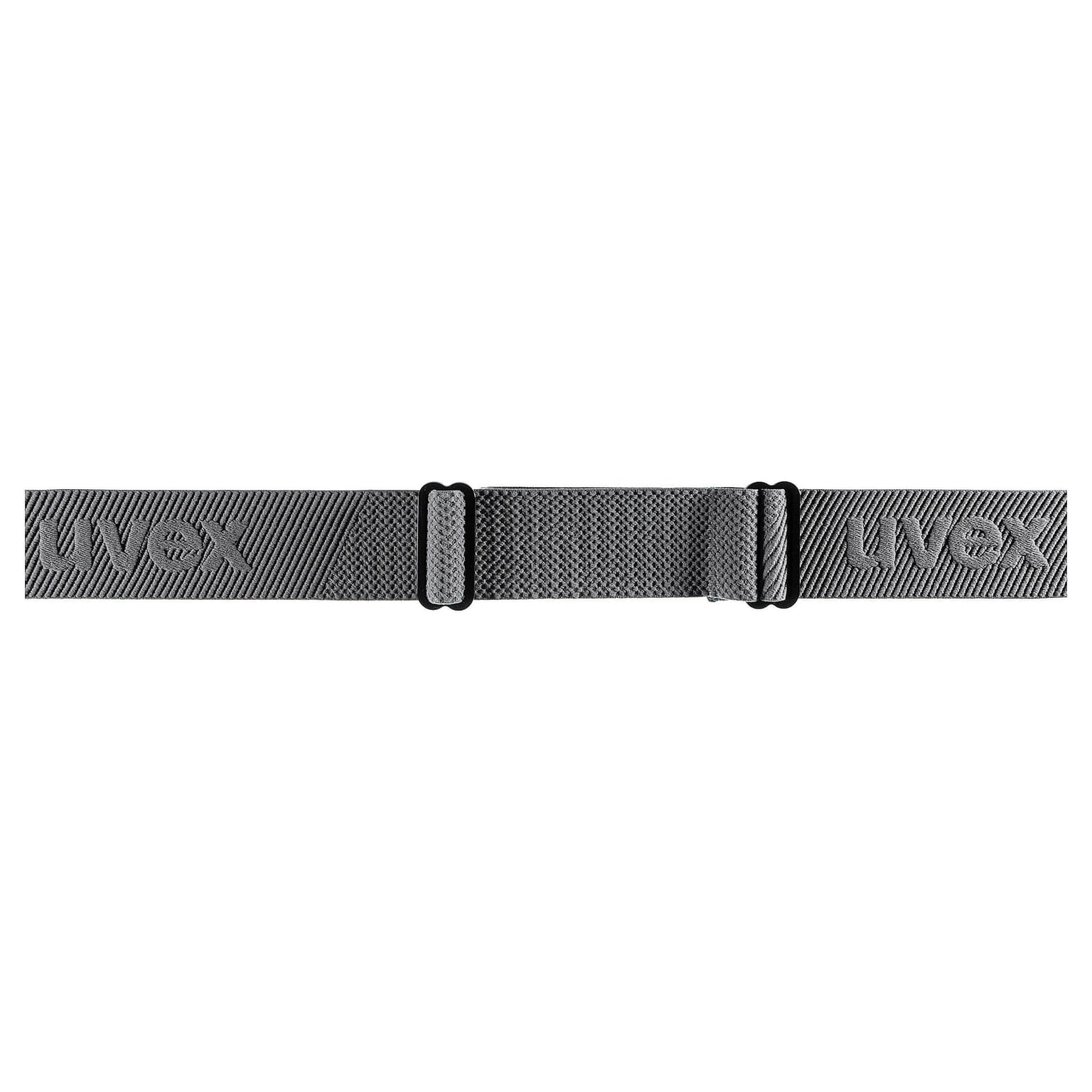 Uvex Uvex Downhill Occhiali da sci grigio 4