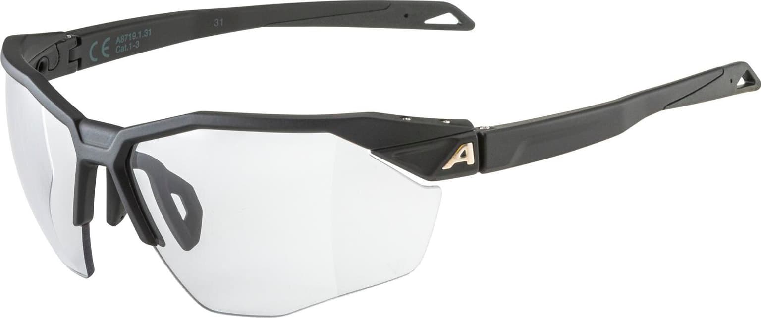 Alpina Alpina TWIST SIX HR V Sportbrille schwarz 1